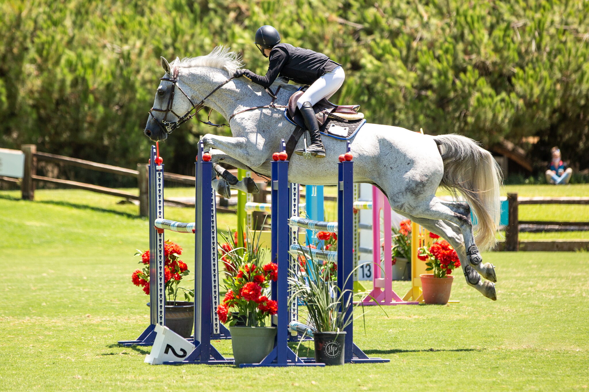 Home Aspen Hill Farm